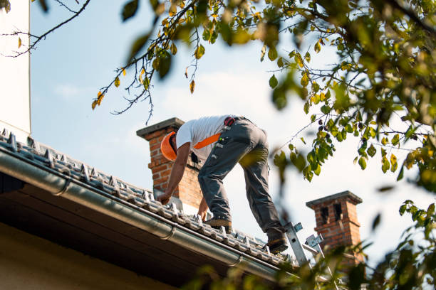 Best Flat Roof Repair Services  in Deridder, LA