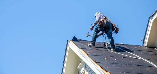 Professional Roofing Contractor in Deridder, LA